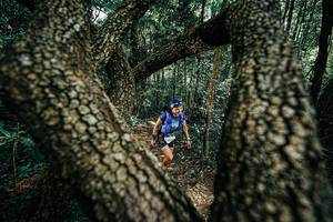 BIB: 
                            <button type="button" onclick="openModal(25392466)" class="btn btn-primary btn-sm float-right btn-popup" data-toggle="modal" data-target=".modal-high-quality">
                        <i class="fas fa-shopping-cart"></i> Add to Cart
                    </button>
                                            <button type="button" onclick="isThisMe(25392466, true)" class="btn btn-success btn-sm float-right btn-popup btn-isme hidden" data-toggle="tooltip" data-placement="bottom" title="นี่คือรูปของคุณใช่ไหม คลิกที่นี่เพื่อเอาเข้าอัลบั้ม">
                        <i class="fas fa-plus"></i> Add to album
                    </button>
                    <button type="button" onclick="isThisMe(25392466, false)" class="btn btn-warning btn-sm float-right btn-popup btn-isnotme hidden">
                        <i class="fas fa-ban"></i> Remove from album
                    </button>